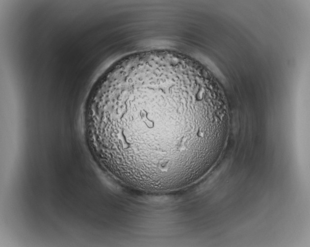 X0000115711031200911191245