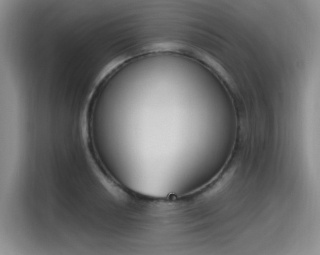 X0000115711034200911191245