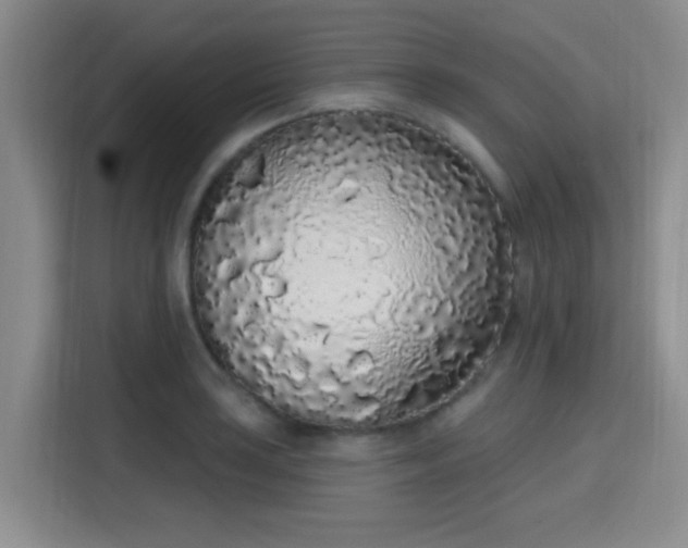 X0000115711035200911191245