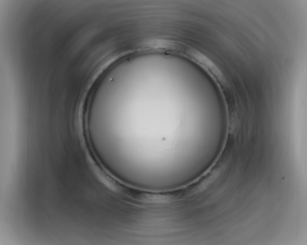 X0000115711039200911191245