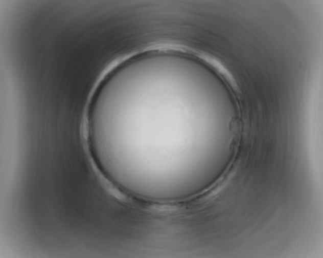 X0000115711040200911191245