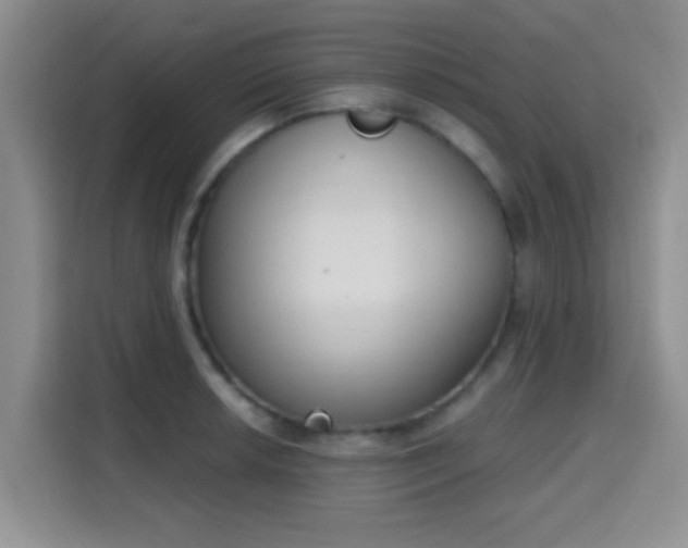 X0000115711042200911191245