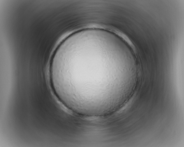 X0000115711048200911191246