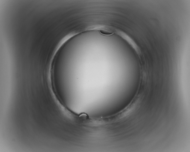 X0000115711050200911191246