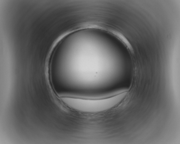 X0000115711051200911191246