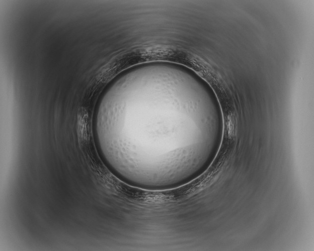 X0000115711059200911191245