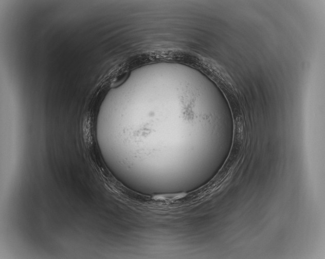 X0000115711060200911191245