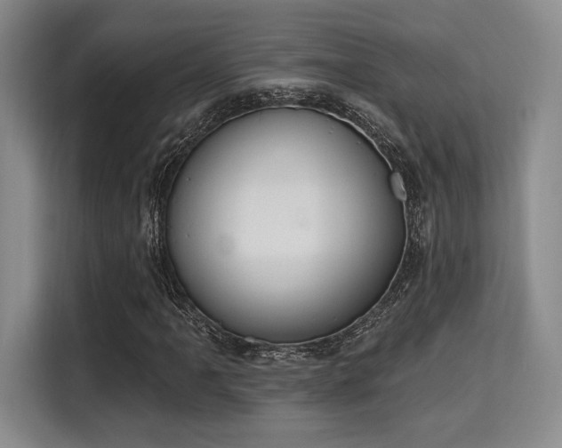 X0000115711061200911191245