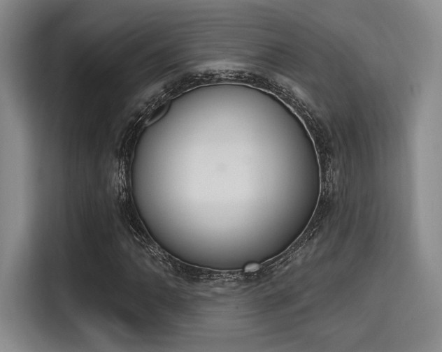 X0000115711062200911191245