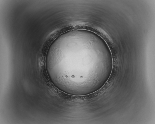 X0000115711063200911191245