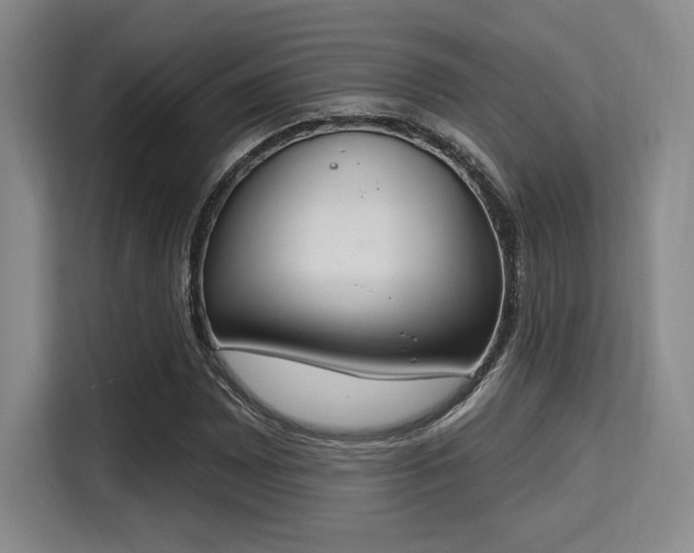 X0000115711065200911191245