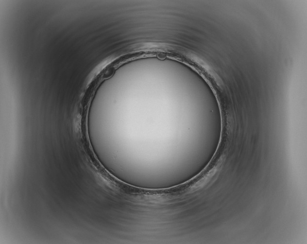 X0000115711066200911191245