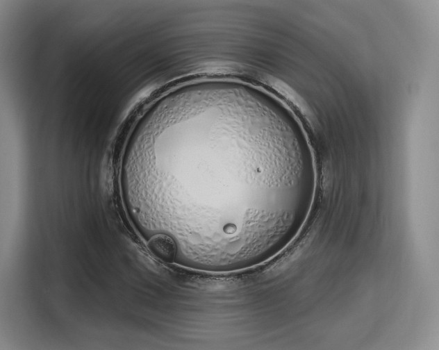 X0000115711067200911191245