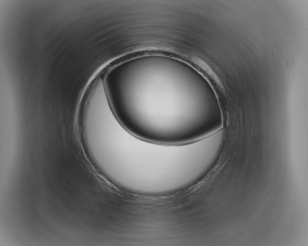 X0000115711068200911191245