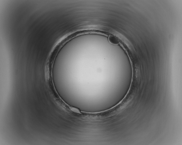 X0000115711069200911191245