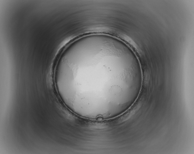 X0000115711071200911191245