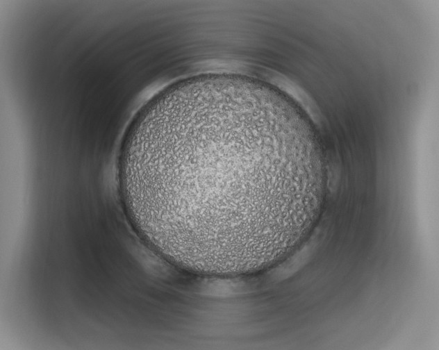 X0000115711074200911191245