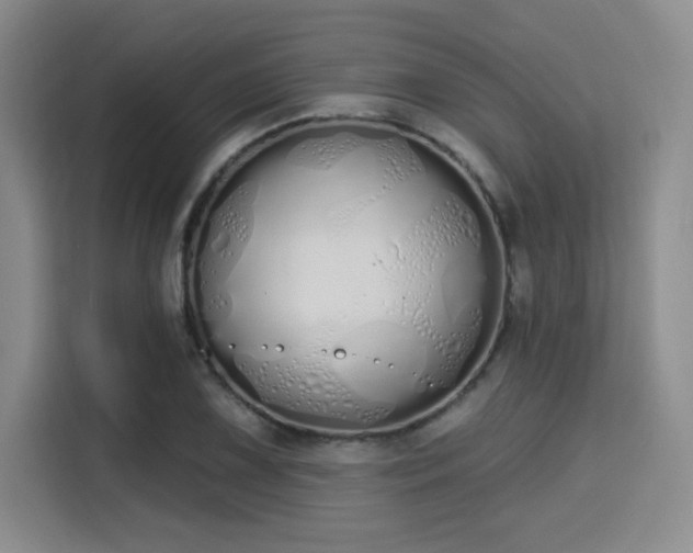 X0000115711075200911191245