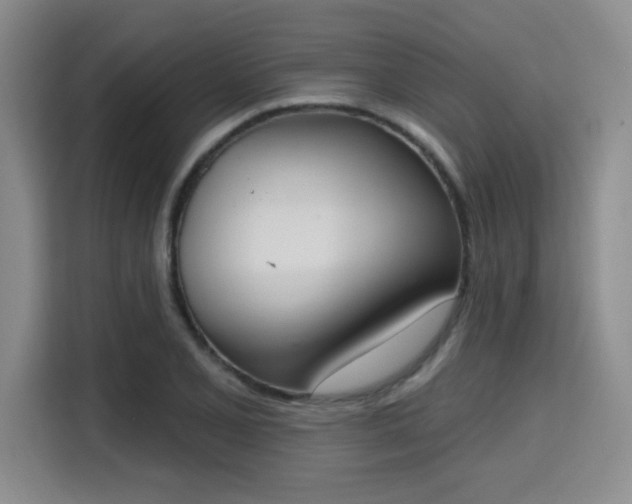 X0000115711077200911191245