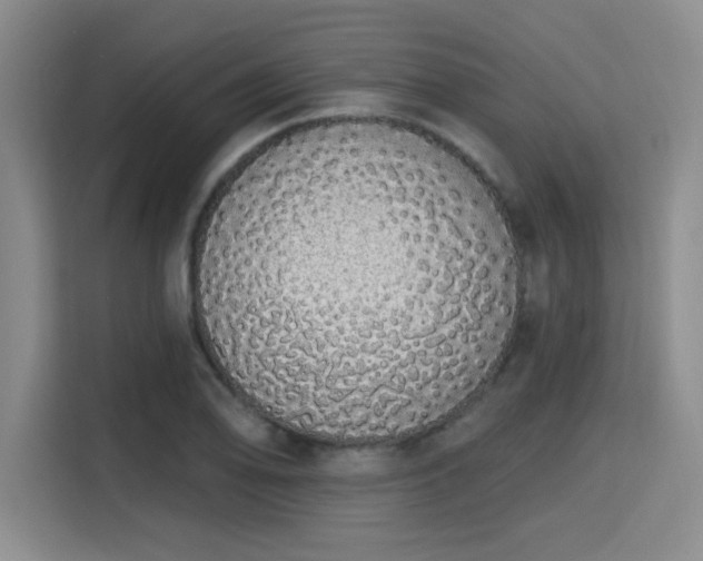 X0000115711078200911191245