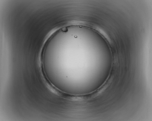 X0000115711082200911191245