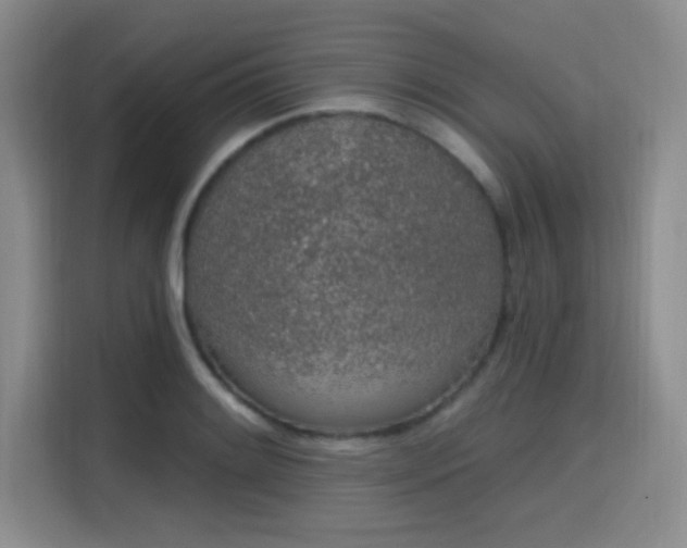 X0000115711084200911191244