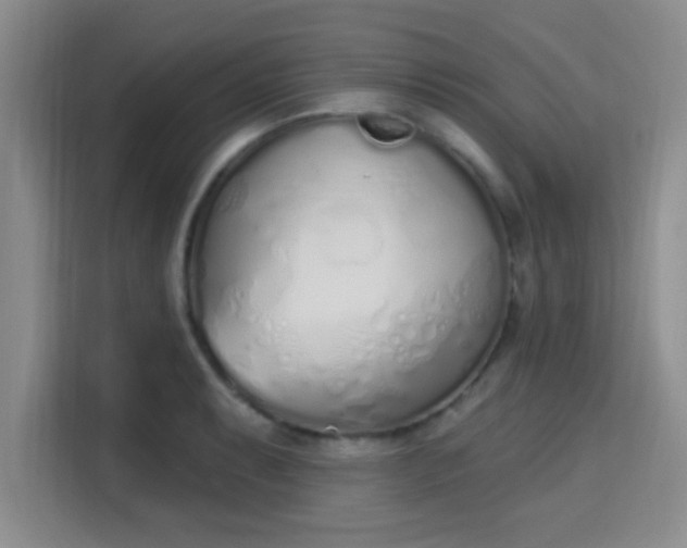 X0000115711087200911191244