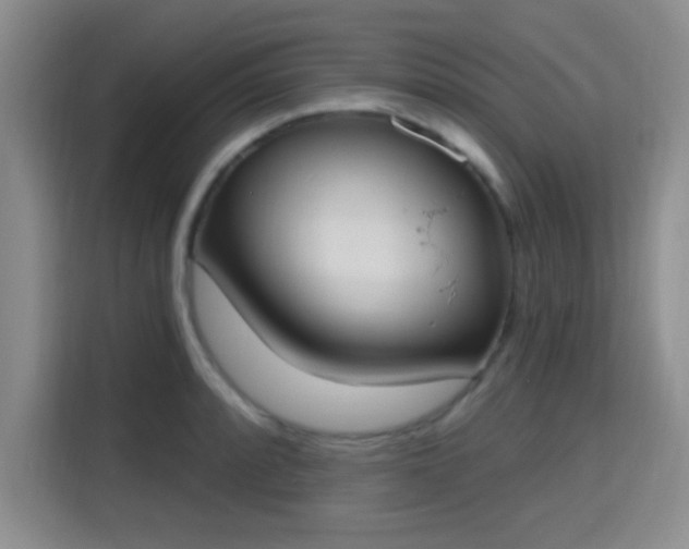 X0000115711088200911191244