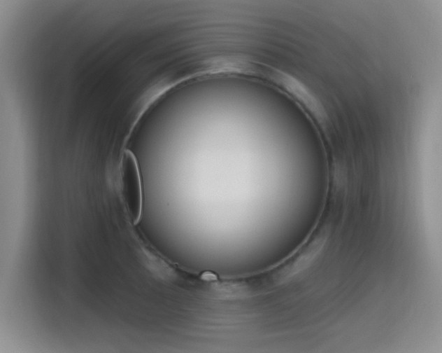 X0000115711089200911191244