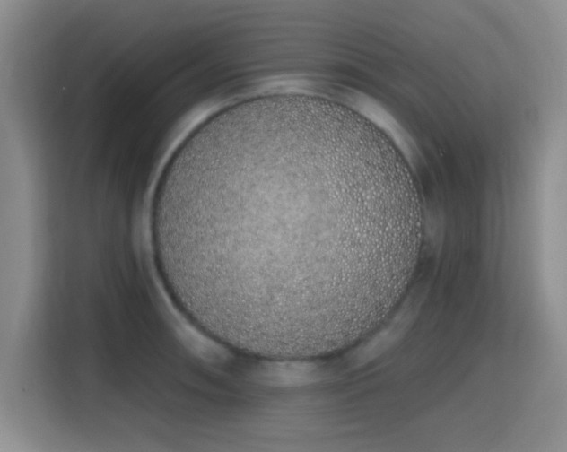 X0000115711090200911191244