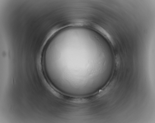 X0000115711091200911191244