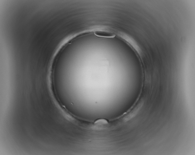 X0000115711093200911191244