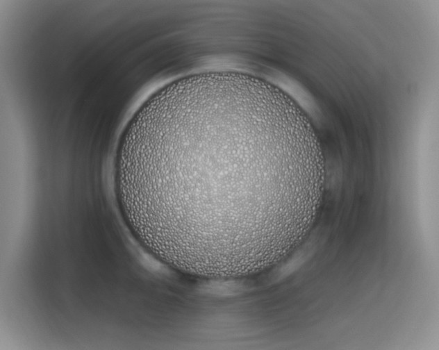 X0000115711094200911191244