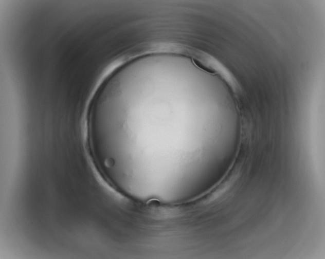 X0000115711095200911191244