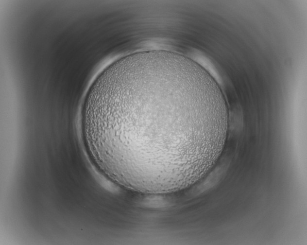 X0000115711098200911191244