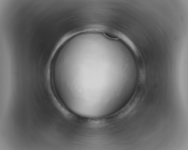 X0000115711099200911191244