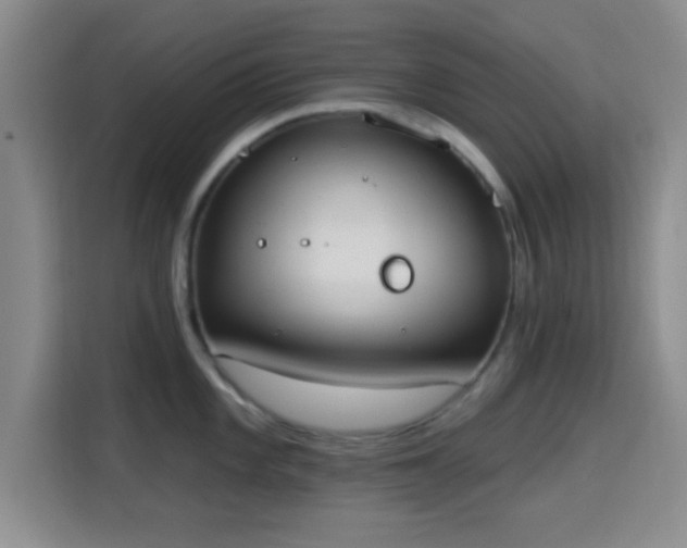 X0000115711101200911191244