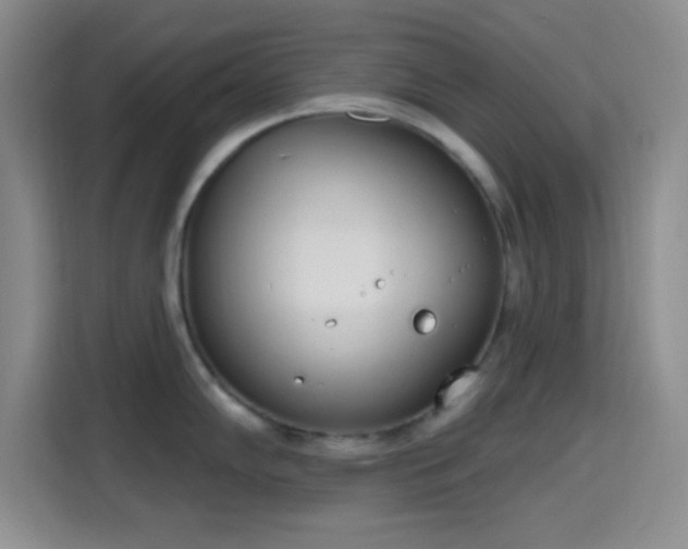 X0000115711102200911191244