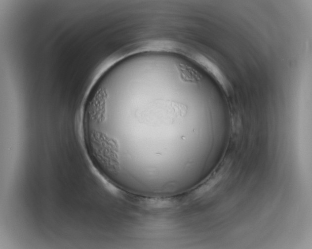 X0000115711103200911191244