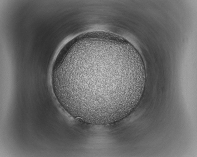 X0000115711104200911191244