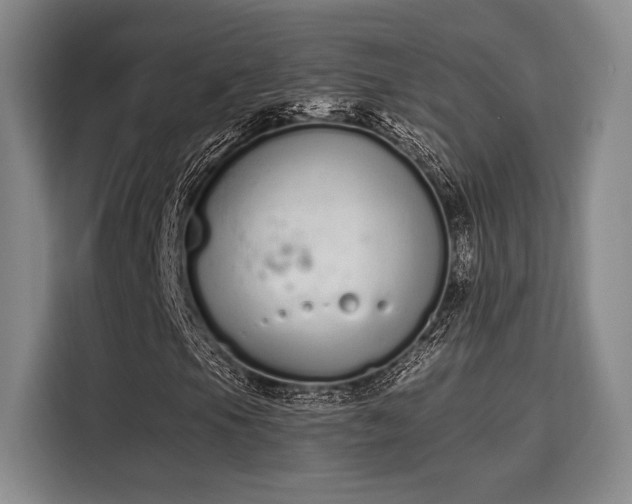 X0000115711105200911191244