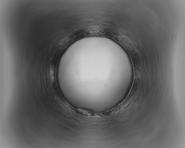 X0000115711106200911191244