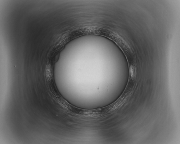 X0000115711107200911191244