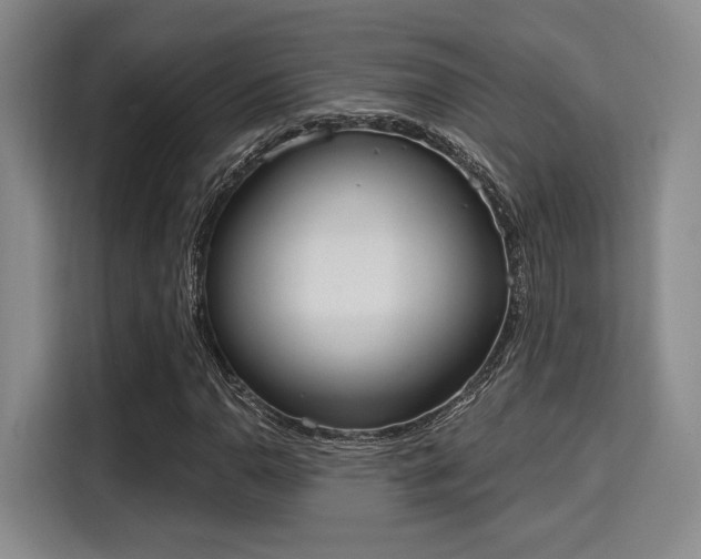 X0000115711110200911191244