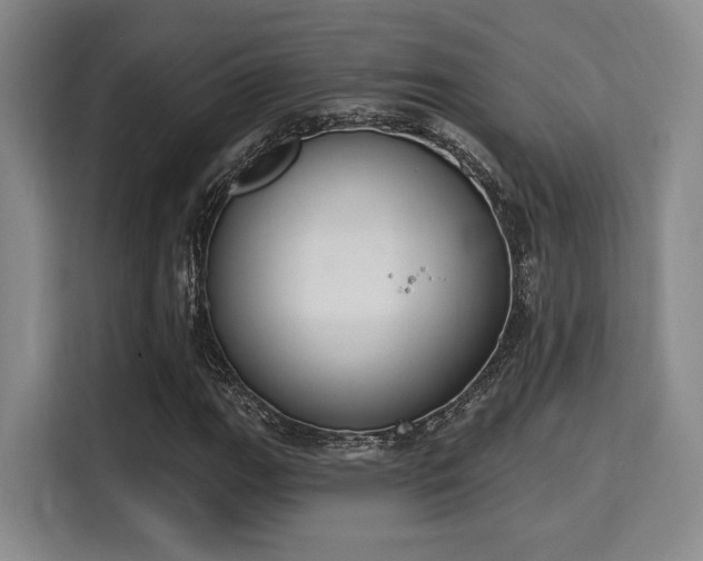 X0000115711111200911191244