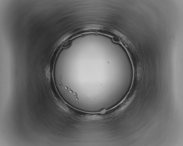 X0000115711113200911191244