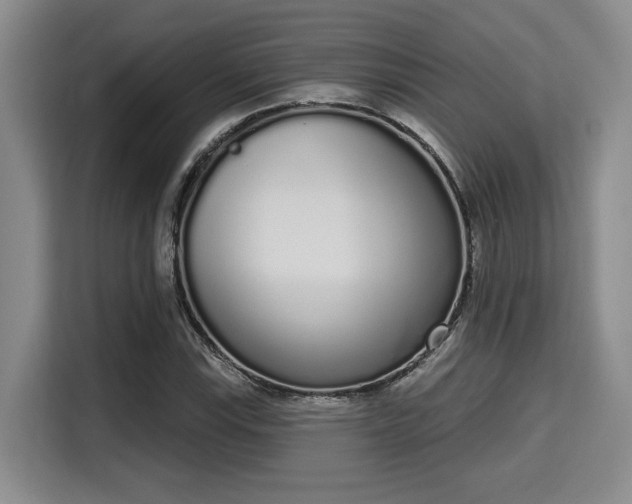 X0000115711115200911191244