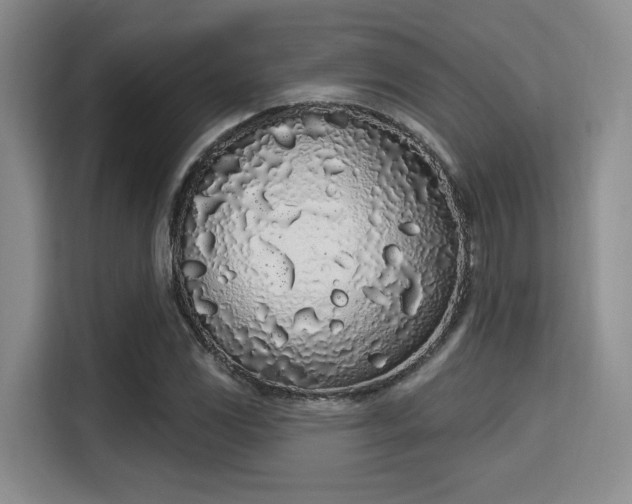 X0000115711117200911191244