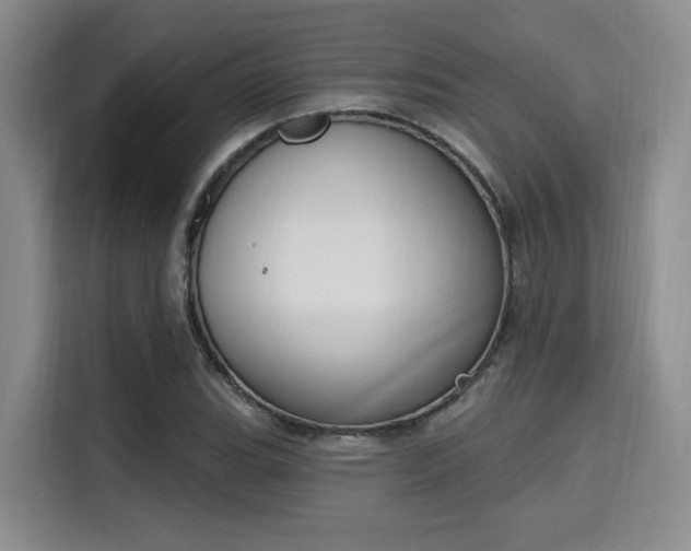 X0000115711119200911191244