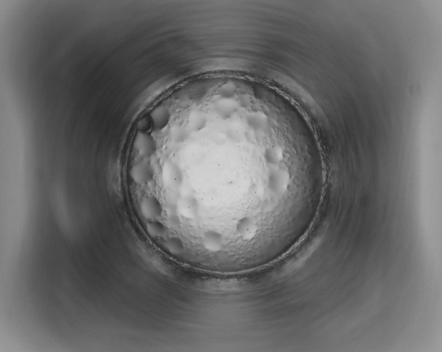 X0000115711121200911191244